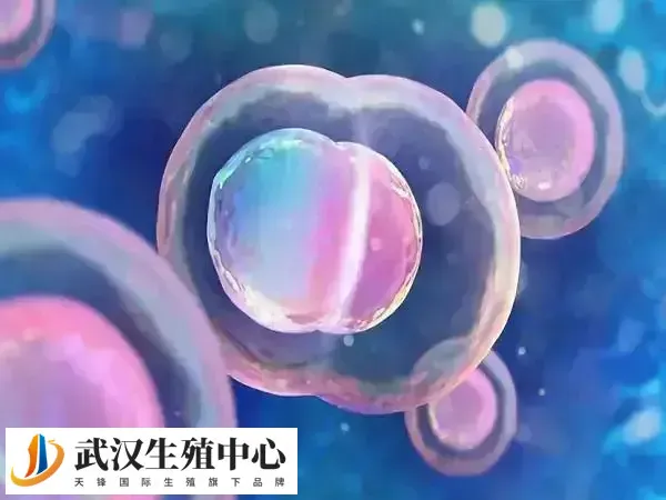 40岁做三代试管10万元够不够