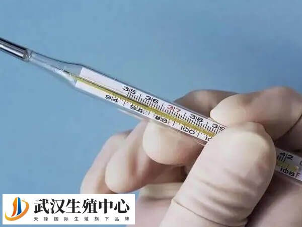 哺乳期暗示怀孕的症状有哪些